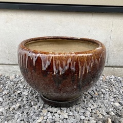 火鉢☆睡蓮鉢☆ビオトープ☆メダカ☆水生植物