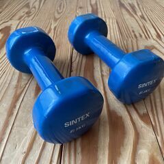 ダンベル2kg×2の画像