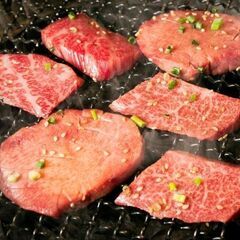 肉食男女集まれ！六本木夜会メンバー大募集🌟🌟 - 友達