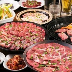 肉食男女集まれ！六本木夜会メンバー大募集🌟🌟 − 東京都