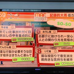 ☆【値下げ！引き取り限定】46インチ液晶TV SONY BRAVIA KDL-46F1（若干難あり）☆の画像