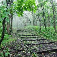 軽登山、アウトドア等...友達募集します。 - 紫波郡