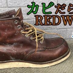 レッドウイング 8165の画像