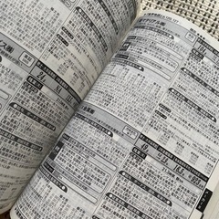 就職四季報　総合版2021の画像