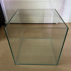 埼玉県のキューブ水槽の中古が安い！激安で譲ります・無料であげます