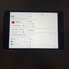 iPad mini 第4世代（2015） 16GB  セルラーモ...
