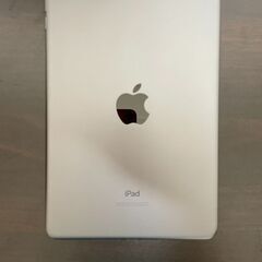 iPad mini 第5世代（2019） 64GB Wi-Fiモデル スペースグレイの画像