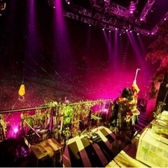 ずっと真夜中でいいのにライブ上映会の同伴者募集❗️