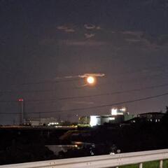 ウォーキング友達募集 - 仙台市