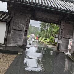 ウォーキング友達募集 - 友達
