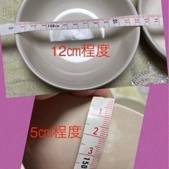 【３回使用の中古】お鍋用の食器　4つセットの画像
