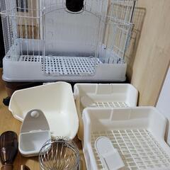 🐰うさぎ用品一式🐰