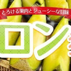 【今週末8/20土・メロン狩り】スイカに大あさりも！メンバー募集です♪ - 名古屋市