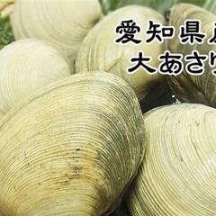 【今週末8/20土・メロン狩り】スイカに大あさりも！メンバー募集です♪ − 愛知県