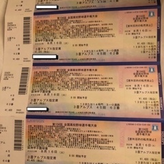 本日の甲子園三塁アルプス席
