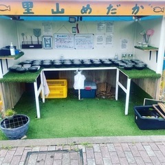 里山めだか無人販売所　8/16出品