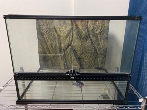 グラステラリウム6045