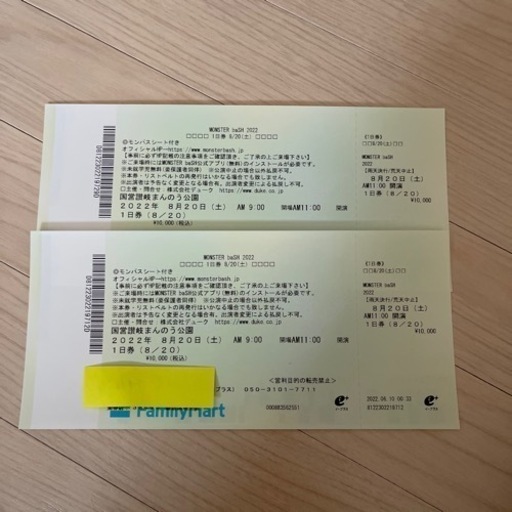 モンスターバッシュ2022 8/20 ２枚　半額以下