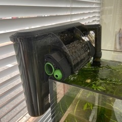 水槽2つ 循環器 26度ヒーター  エサの画像