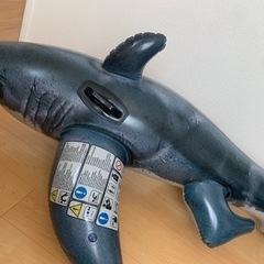 美品！フロートシャーク型　全長173センチの画像