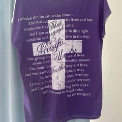 (女性の方のみ)Tシャツ(Ｍサイズ)の画像