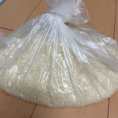 食料支援　米　約2kg