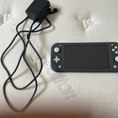 Nintendo Switch light グレー　の画像