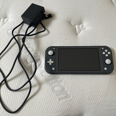 Nintendo Switch light グレー　の画像