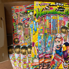 受付終了しました【花火各種】無料で差し上げますの画像