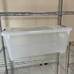 19日まで 爬虫類飼育ケージ、スチールラックまるっと8000円 引き取り限定の画像