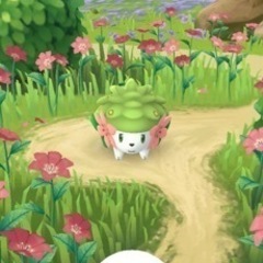 【ポケモンGO】ポケ活の一味