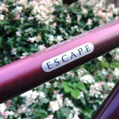 GIANT ESCAPE XXS レアサイズ 要調整の画像