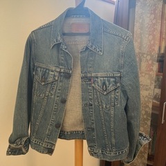 レディース　リーバイスのGジャン