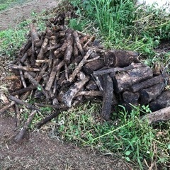 薪原木の画像