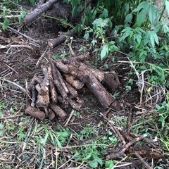 薪原木の画像