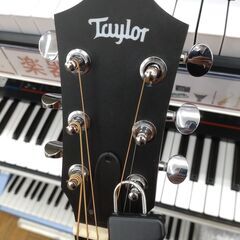 Taylor アコースティックギター GS miniの画像