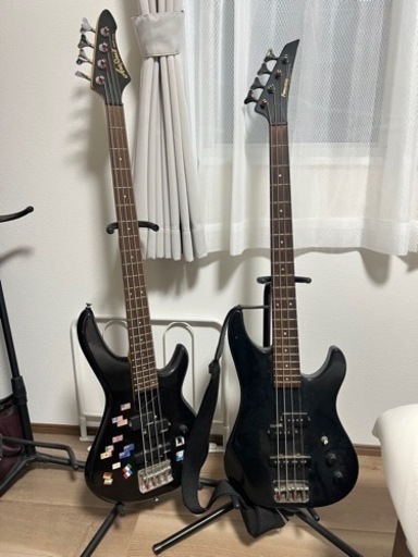 フェルナンデス　2本セット