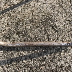 パイプ椅子　サビ　汚れ有り　の画像