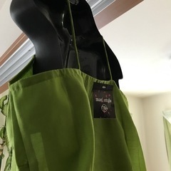 シックナ✨グリーン✨値下げ❣️の画像