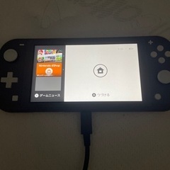 Nintendo Switch light グレー　の画像