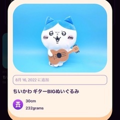 ハチワレ　ギターbigぬいぐるみ