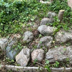 石 無料で差し上げます!!(9月末まで限定)の画像