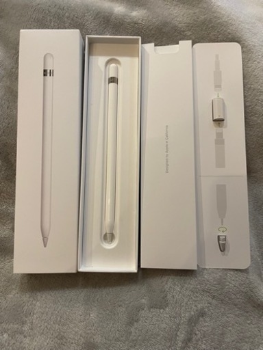 Apple iPad mini 5 256GB ＋ Apple Pencil 1