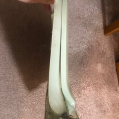 トイレ　光る　便座の画像