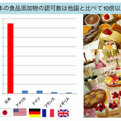 ✨【期間限定無料】『添加物と細胞』ショートセミナー【無料】の画像