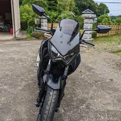 Kawasaki Z250