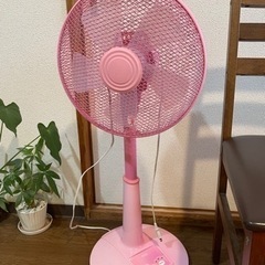 【受取者決定済み】🔥ピンク色扇風機　首振り・高さ調整・3段階風量切替