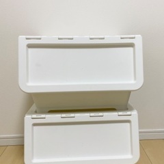 カインズのキャリコMサイズ2個セット　収納用品