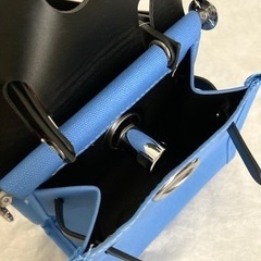 【新品】人気色❗️早い者勝ち♥️一点限り❗️ミニバッグ　ショルダーの画像