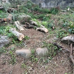 石 無料で差し上げます!!(9月末まで限定)の画像